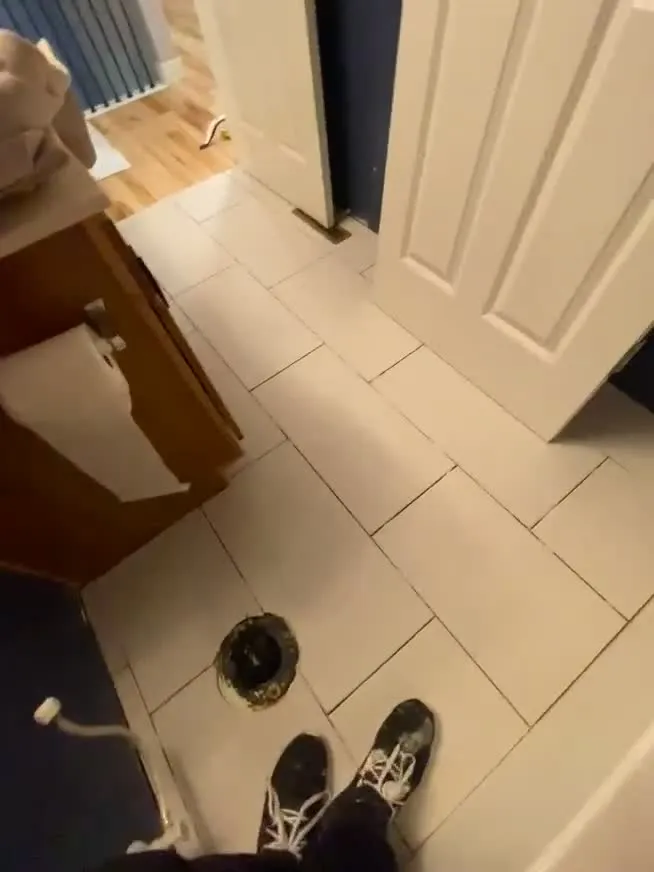 Apple Valley Master Bath & Laundry Remodel — video clip